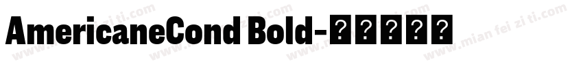 AmericaneCond Bold字体转换